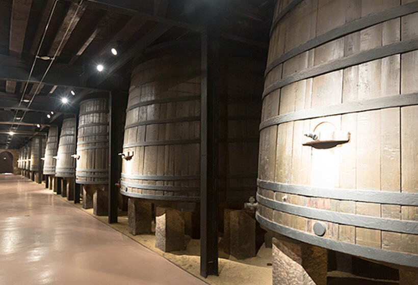 Yeast in wineries