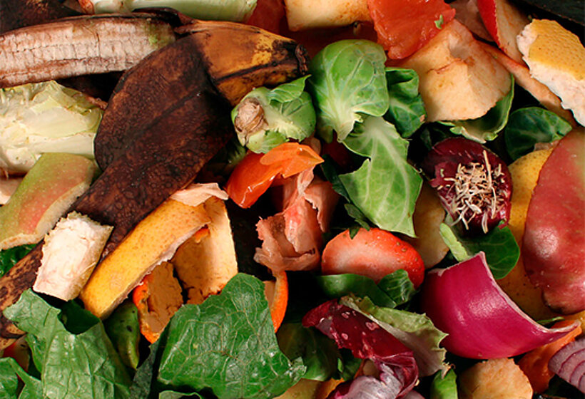 Food waste Disposal & Anaerobic digestion